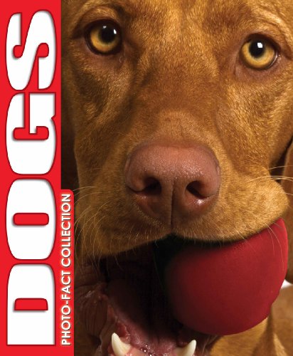 Beispielbild fr Dogs Photo Fact Collection zum Verkauf von Better World Books