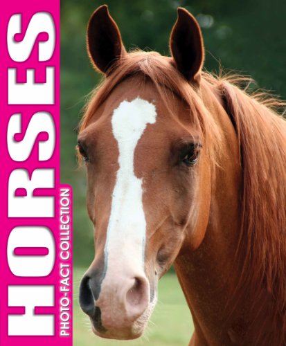 Beispielbild fr Horses Photo Fact Collection zum Verkauf von Wonder Book
