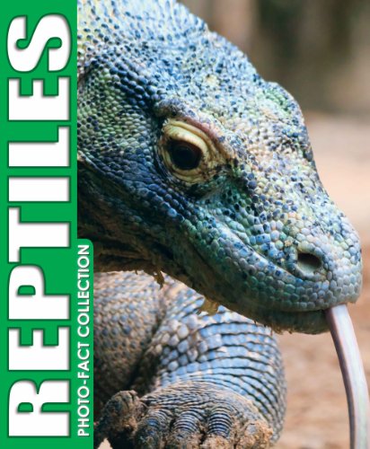 Beispielbild fr Reptiles Photo Fact Collection zum Verkauf von Better World Books