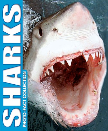 Beispielbild fr Sharks Photo Fact Collection zum Verkauf von Wonder Book