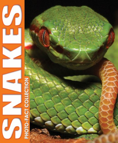 Beispielbild fr Snakes Photo Fact Collection zum Verkauf von Better World Books