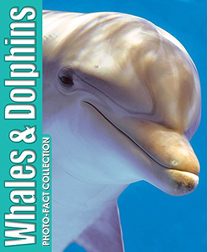 9781588657206: Photo-Fact Collection Whales & Dolphins by Kidsbooks (2013-11-01)