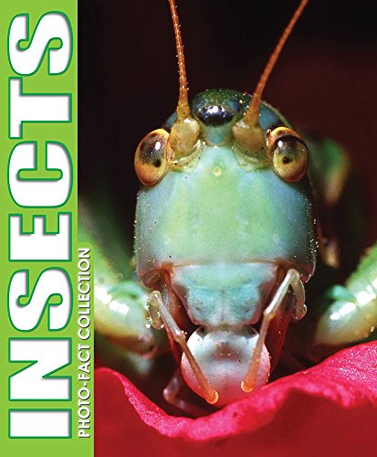 Beispielbild fr Photo-Fact Collection Insects zum Verkauf von Better World Books