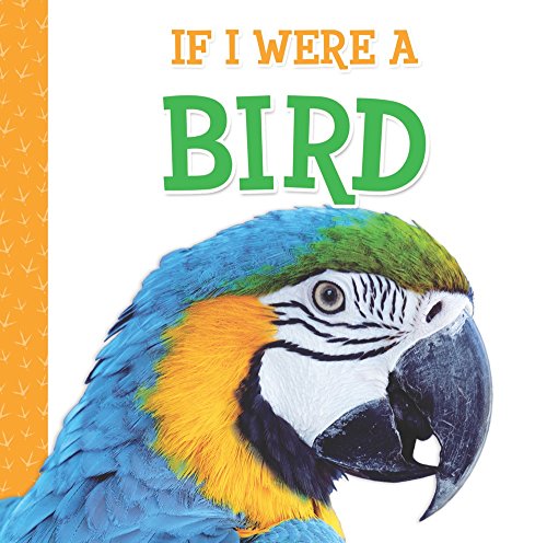 Beispielbild fr If I Were A Bird zum Verkauf von Better World Books