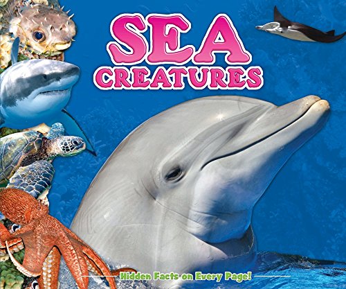 9781588658319: Sea Creatures by Kidsbooks (2013) Hardcover