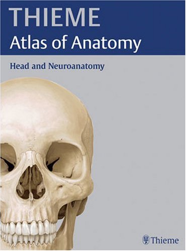 Stock image for Head and Neuroanatomy (THIEME Atlas of Anatomy) (THIEME Atlas of Anatomy Series) for sale by HPB-Red