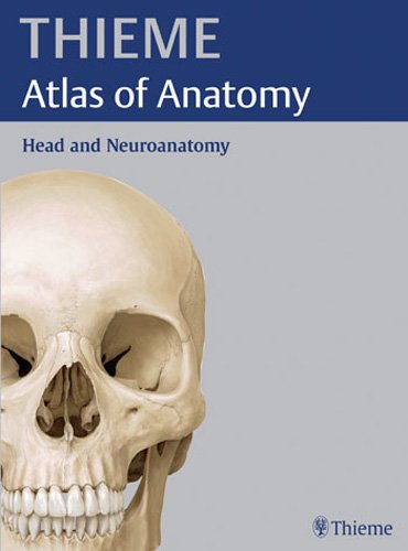 Imagen de archivo de Thieme Atlas of Anatomy: Head and Neuroanatomy (Thieme Atlas of Anatomy Series) [Taschenbuch] Schuenke, Michael; Schulte, Erik und Schumacher, Udo a la venta por Volker Ziesing