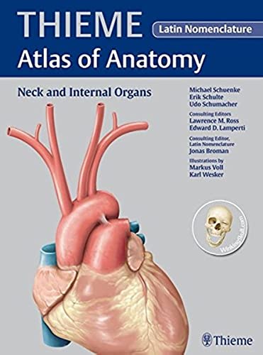 Stock image for THIEME Atlas of Anatomy - Neck and Internal Organs (Latin) for sale by Kuba Libri