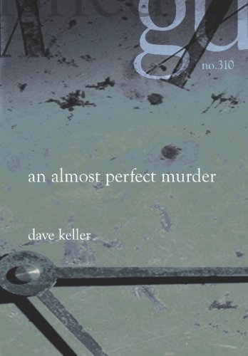 9781588983107: An Almost Perfect Murder