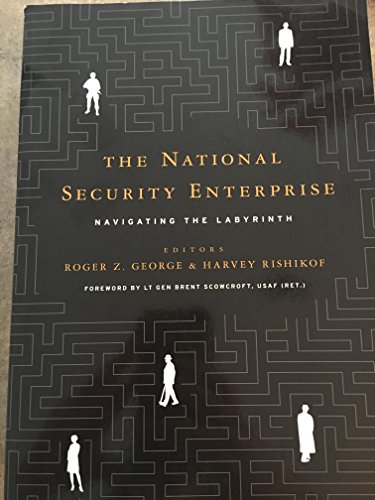 Imagen de archivo de The National Security Enterprise: Navigating the Labyrinth a la venta por Open Books