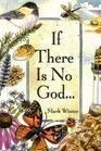 Imagen de archivo de If There Is No God: Glimpses of God in Everyday Life a la venta por Gulf Coast Books