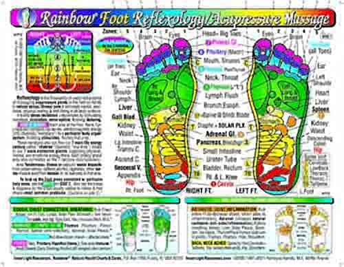 Rainbow   FOOT Reflexology  Acupressure Massage CHART in the Inner Light Resources Rainbow   Cards   Charts Series  8 5 x 11 in  2 sided  Small Poster  Large Card 