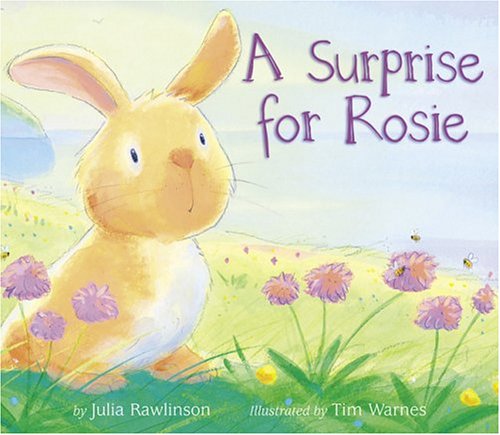 Imagen de archivo de A Surprise for Rosie a la venta por Better World Books