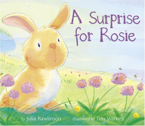 Stock image for A Surprise For Rosie for sale by BooksRun