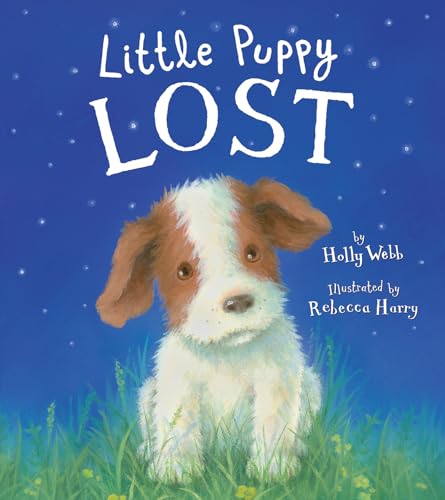 Stock image for Little Puppy Lost for sale by Better World Books
