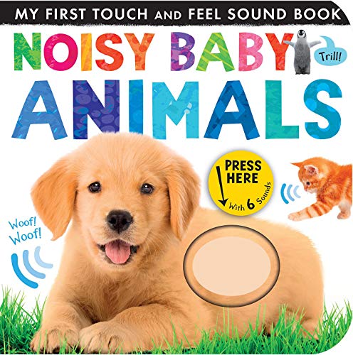 9781589252318: Noisy Baby Animals (My First)