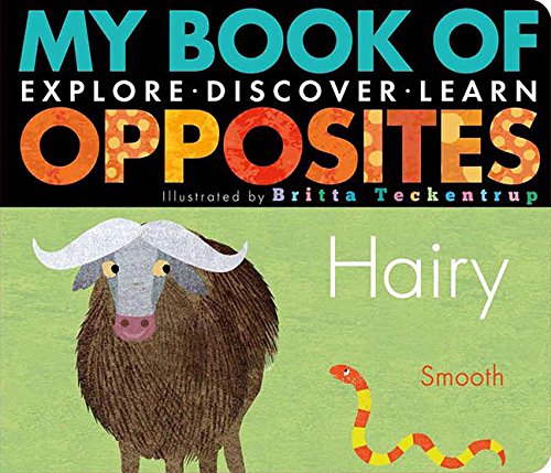 Beispielbild fr My Book of Opposites : Explore, Discover, Learn zum Verkauf von Better World Books