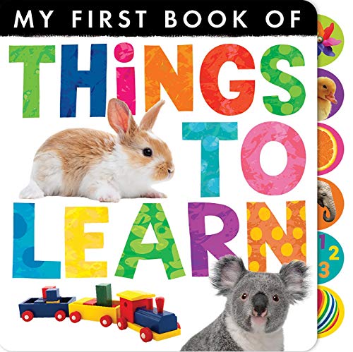 Beispielbild fr Things to Learn (My First) zum Verkauf von Wonder Book