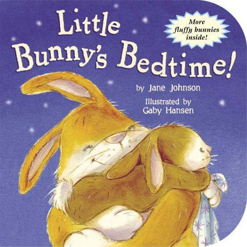 Little Bunny's Bedtime! (9781589257733) by Johnson, Jane