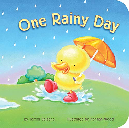 9781589258600: One Rainy Day
