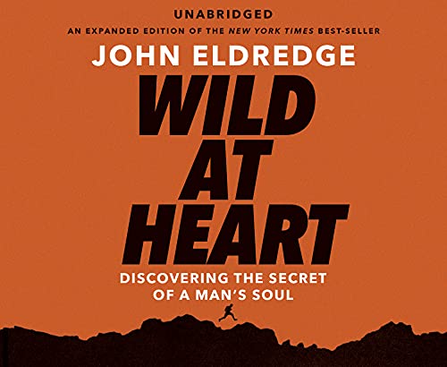 Stock image for Wild at Heart: Discovering the Secret of a Man's Soul for sale by medimops