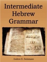 Stock image for Intermediate Hebrew Grammar for sale by Windows Booksellers