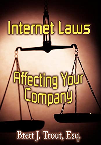 Beispielbild fr Internet Laws Affecting Your Company zum Verkauf von HPB Inc.