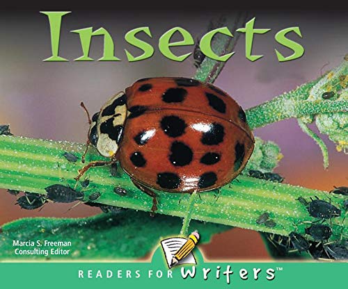 Imagen de archivo de Insects a la venta por Better World Books