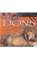 9781589524057: Lions (Eye to Eye With Big Cats)