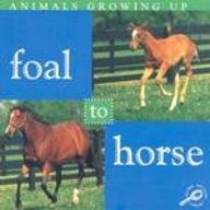 Foal to Horse (Animals Growing Up.) (9781589526945) by Cooper, Jason