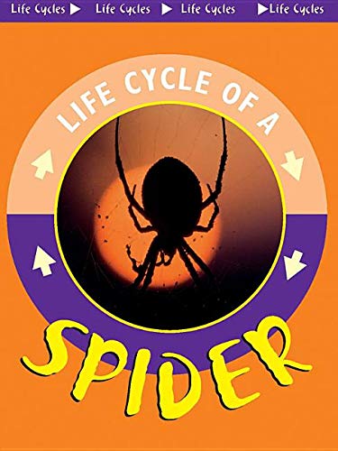 Spider (Life Cycles) (9781589527072) by Cooper, Jason