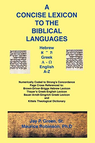 9781589603080: Concise Lexicon to the Biblical Languages