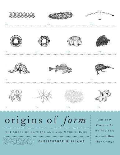 Stock image for Origins of Form (Paperback) for sale by CitiRetail