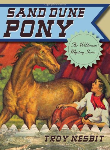 Beispielbild fr Sand Dune Pony zum Verkauf von Better World Books