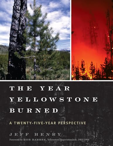 Stock image for The Year Yellowstone Burned : A Twenty-Five-Year Perspective for sale by Better World Books