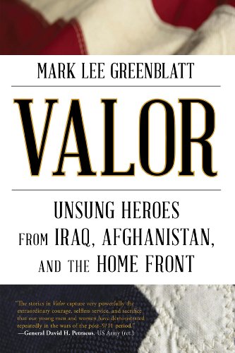 Stock image for Valor: Unsung Heroes from Iraq, Afghanistan, and the Home Front for sale by SecondSale