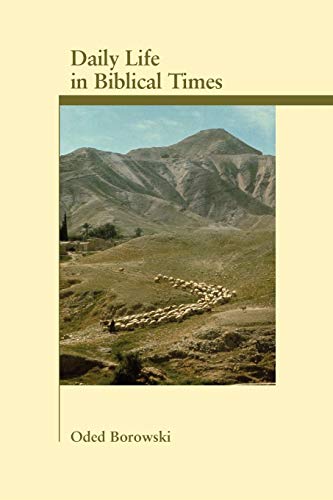 Stock image for Daily Life in Biblical Times (Archaeology & Biblical Studies) for sale by HPB-Red