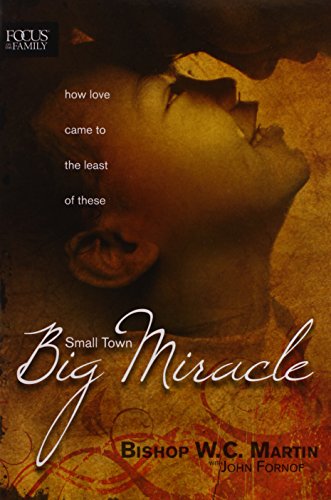 Stock image for Small Town, Big Miracle: How Love Came to the Least of These (Focus on the Family Books) for sale by SecondSale