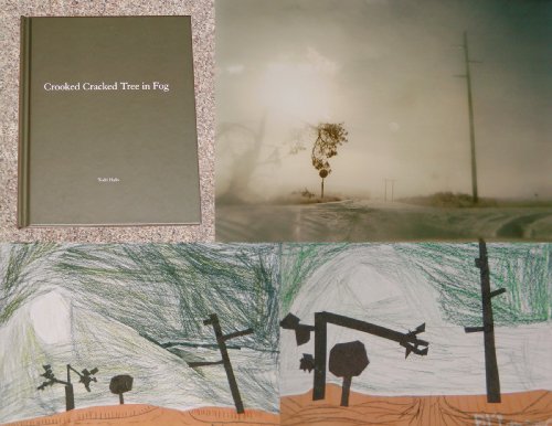 9781590022924: TODD HIDO: CROOKED CRACKED TREE IN FOG (ONE PICTURE BOOK #60) - LIMITED EDITION SIGNED BY THE PHOTOGRAPHER WITH A COLOR PHOTOGRAPH TIPPED IN