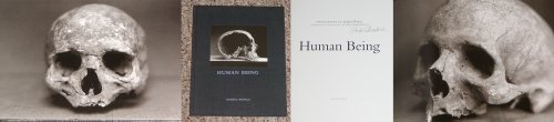 Stock image for Human Being for sale by FITZ BOOKS AND WAFFLES