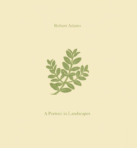 9781590050736: Adams Portrait Landscapes /anglais