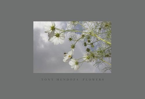 9781590051702: Tony Mendoza Flowers /anglais