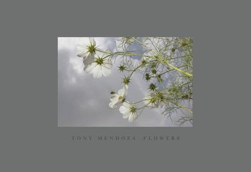 Imagen de archivo de Flowers a la venta por Moroccobound Fine Books, IOBA