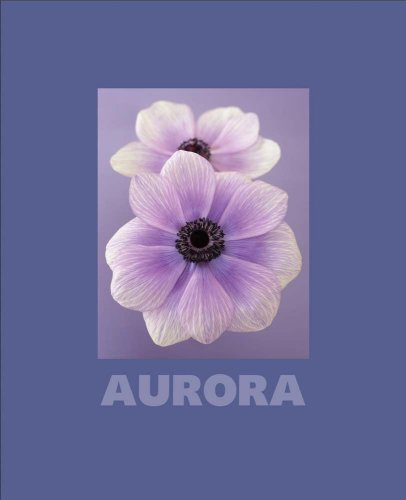 Beispielbild fr Aurora zum Verkauf von Ludilivre Photobooks