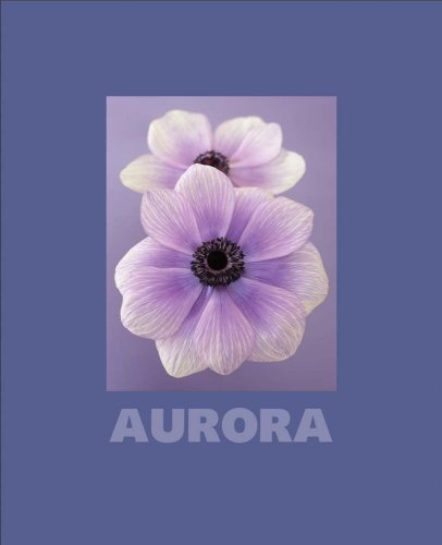 AURORA (Signed by the Artist)