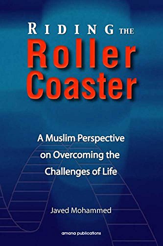 Imagen de archivo de Riding the Roller Coaster a la venta por Wonder Book