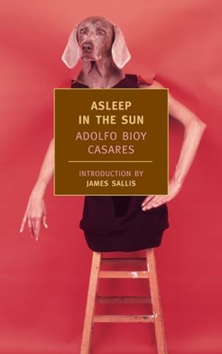 Beispielbild fr Asleep in the Sun zum Verkauf von Magers and Quinn Booksellers