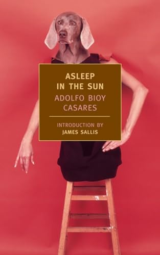 Stock image for Asleep in the Sun for sale by Magers and Quinn Booksellers