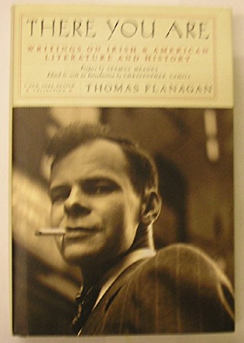 Beispielbild fr There You Are: Writings on Irish and American Literature and History zum Verkauf von Housing Works Online Bookstore