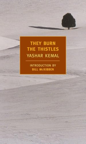 Beispielbild fr They Burn the Thistles zum Verkauf von Better World Books